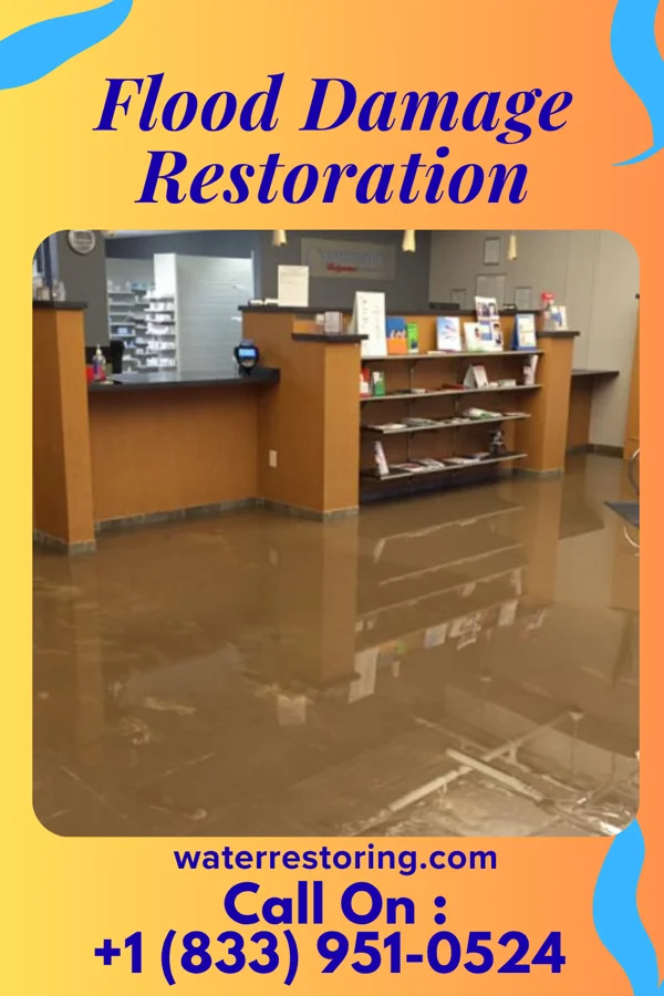 Flood Damage Restoration in Weber City, VA