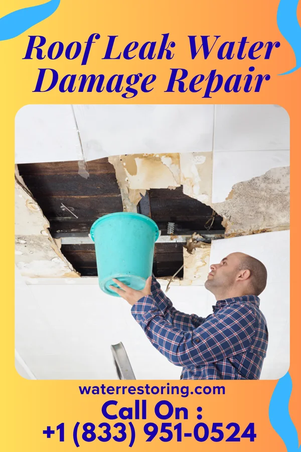Roof Leak Water Damage Repair in Weber City, VA
