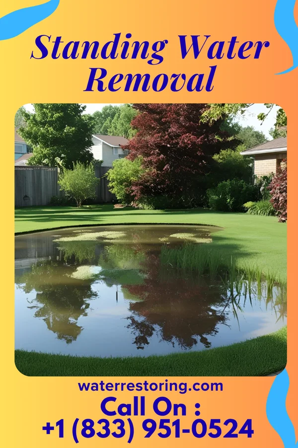Standing Water Removal in Weber City, VA